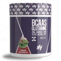 Bcaas + Glutamina 350g Kyowa®